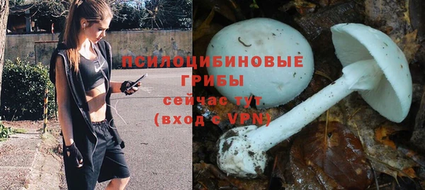 МДПВ Ростов