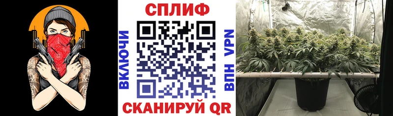купить наркотик  Курган  Бошки Шишки Bruce Banner 